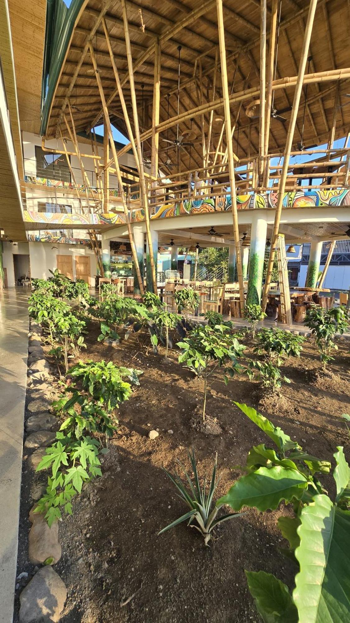 Bonding Coffee Roaster Cafe & Hotel ケポス エクステリア 写真