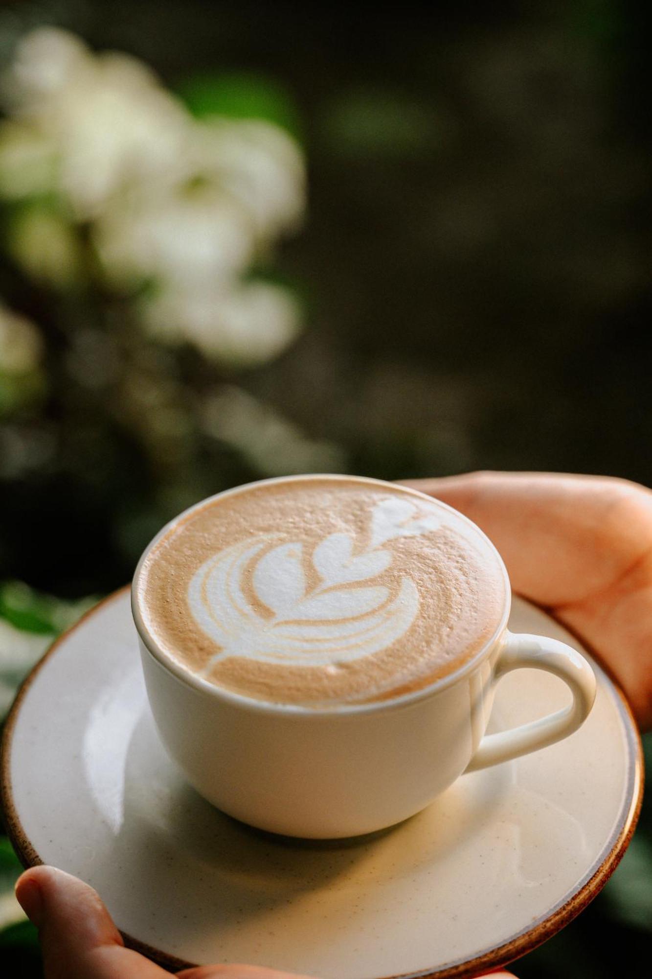 Bonding Coffee Roaster Cafe & Hotel ケポス エクステリア 写真